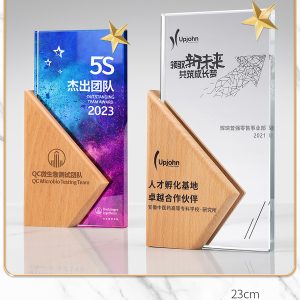 Kỷ Niệm Chương - Cúp Pha Lê Chân Đế Gỗ KN20