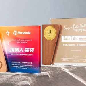 Kỷ Niệm Chương – Cúp Pha Lê Chân Đế Gỗ KN54