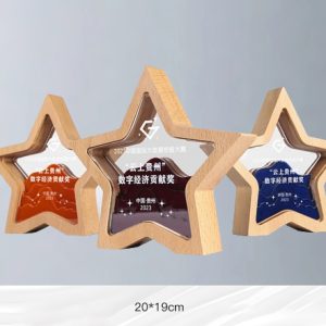Kỷ Niệm Chương – Cúp Pha Lê Chân Đế Gỗ KN56