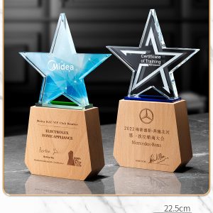 Kỷ Niệm Chương - Cúp Pha Lê Chân Đế Gỗ KN09